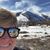 Deanna Faye Peoples's profile image