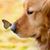 Patty Rath's profile image