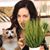 Kristen S Sefcik's profile image