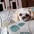 Cindy Gilman's profile image