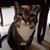 Margie H Smith's profile image