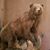 Trisha Wiseman McMenamin's profile image