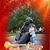 Ellen Feldman Saslovsky's profile image