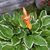 Martha Nickerson's profile image