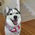 Skye Nguyen's profile image