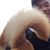 Tony Ly's profile image