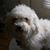 Renee Waller Geithner's profile image