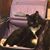 Terry Bresnick-Armstrong's profile image
