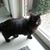 Wim De Jans's profile image