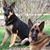 Gail Roderick's profile image