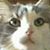Richard Smaaland's profile image