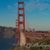 Debbie Starr Johnston's profile image