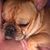 Talie Hewitt's profile image