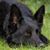 Lydia Evans's profile image