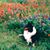 Sandra Sunday Mccutcheon's profile image