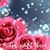 Shannon Durbin Casey's profile image