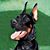 Clarence von Westcoast's profile image