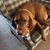 Kathy Quinn Walker's profile image