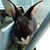Maria D. Alvarez's profile image
