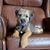 Belinda Stapley's profile image
