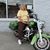 Debbie Starr Walker's profile image