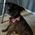 Marlane Sobeck's profile image