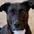 Anna Vaccaro's profile image