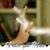 Mandi Dawn Duffield's profile image