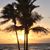 Lisa Parrish Greenberg's profile image