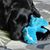 Jenny L Womack's profile image