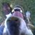 Roger Beshears's profile image