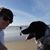 Robin Hendricks's profile image