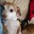 Sandy Brannock's profile image