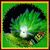 Dina Jefferies's profile image