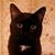 Julie Hess Williams's profile image