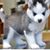 Jean Kenerson's profile image