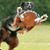 Paula Salter's profile image