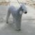 Laurel Beveridge Walker's profile image