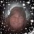 Donna Kelly's profile image