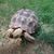 Tabitha George's profile image