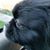 Dorothea Dottie Tayah Bunch's profile image