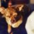 Stacey Sauerbrunn Joslin's profile image