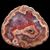 Bruwe Gontran's profile image