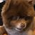 Belinda Jones Stuart's profile image