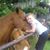 Rita Staggs Wheeley's profile image