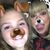 Tonya Hill Lindeman's profile image