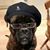 David Becker's profile image