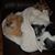 Nance Anderson's profile image