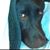 Barb Schoen's profile image