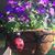 Linda Griffin Stephenson's profile image